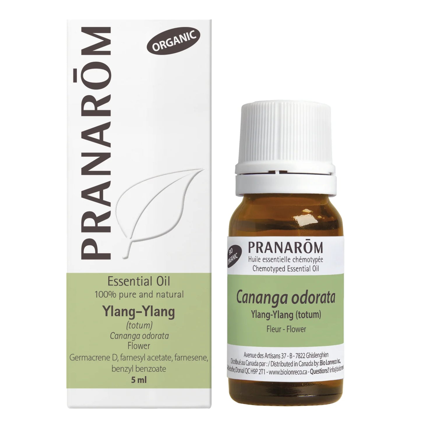 Ylang-Ylang (totum) - Cananga Odorata