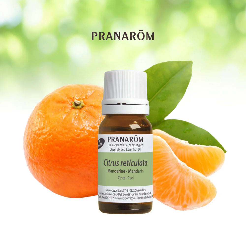 Mandarine - Citrus Reticulata