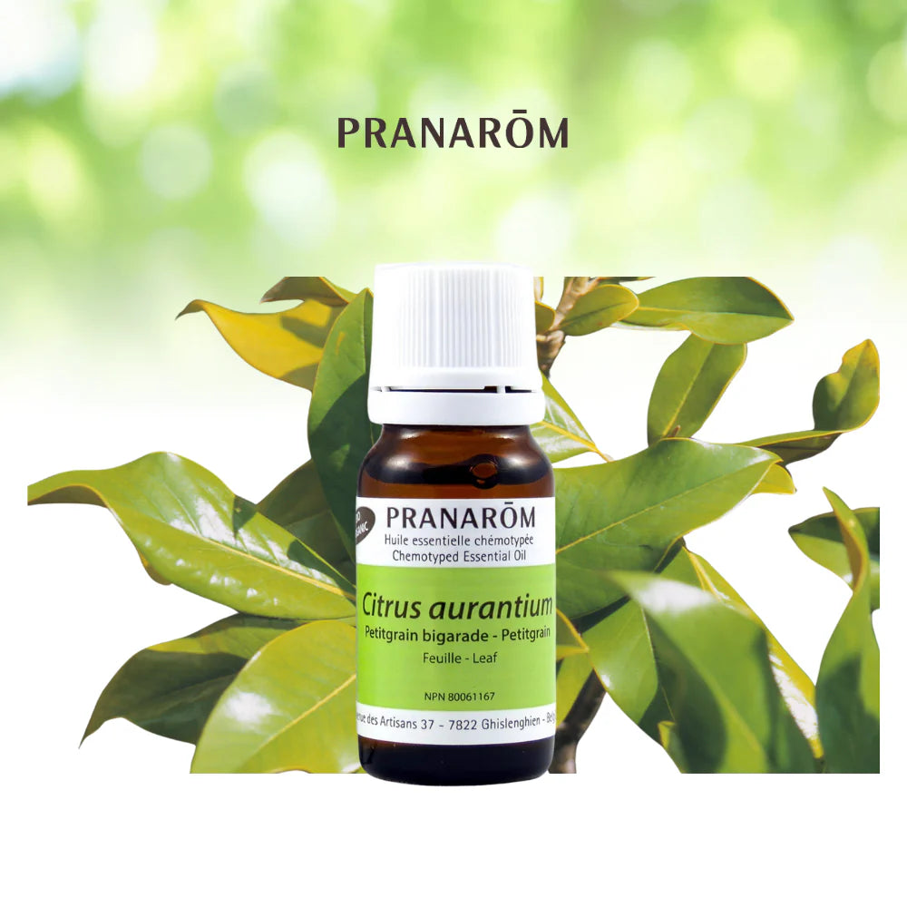 Petitgrain - Citrus Aurantium SSP Amara
