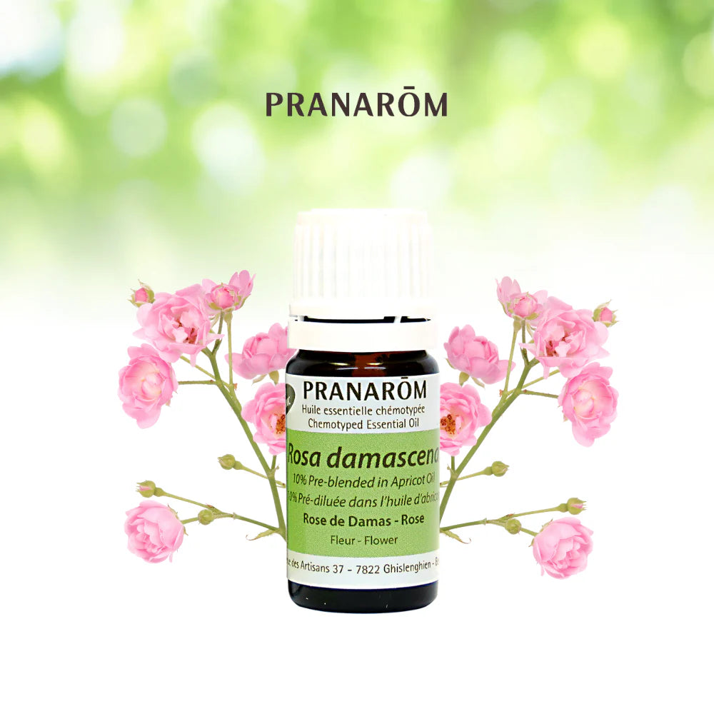Rose (10 % pré-mélangée) - Rosa Damascena