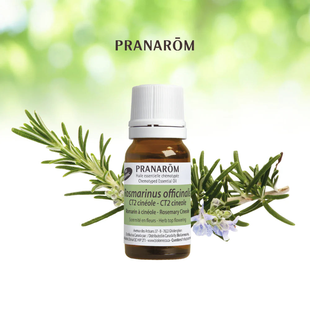 Cinéole de romarin - Rosmarinus Officinalis CT2 Cinéole