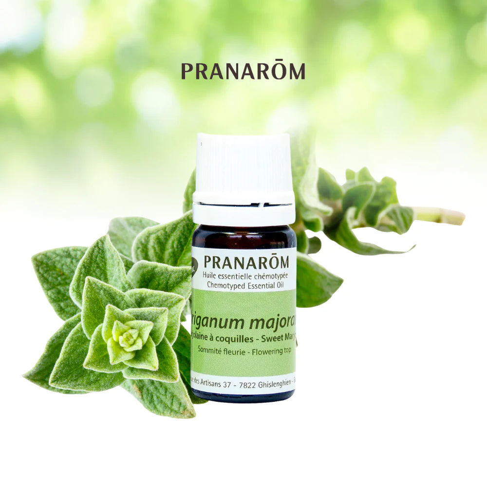 Marjolaine douce - Origanum Majorana