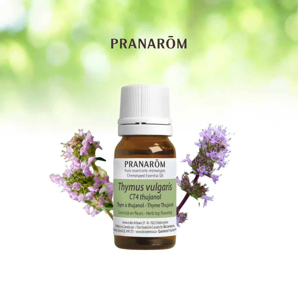 Thujanol de thym - Thymus Vulgaris CT Thujanol