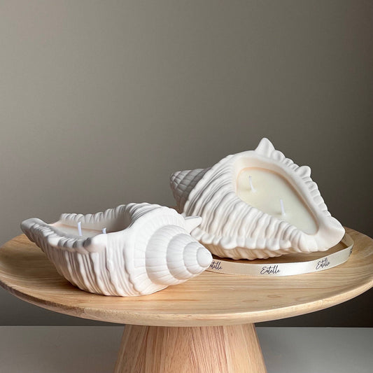 Bougie artisanale en cire de soja et coquillage, dans un contenant en Jesmonite. 