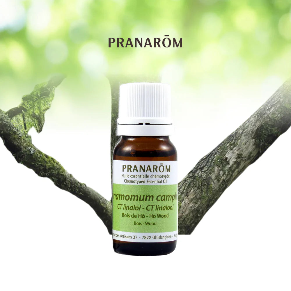 Bois de Hô - Cinnamomum Camphora CT Linalol