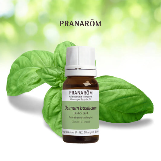 Basilic - Ocimum Basilicum CT Linalol