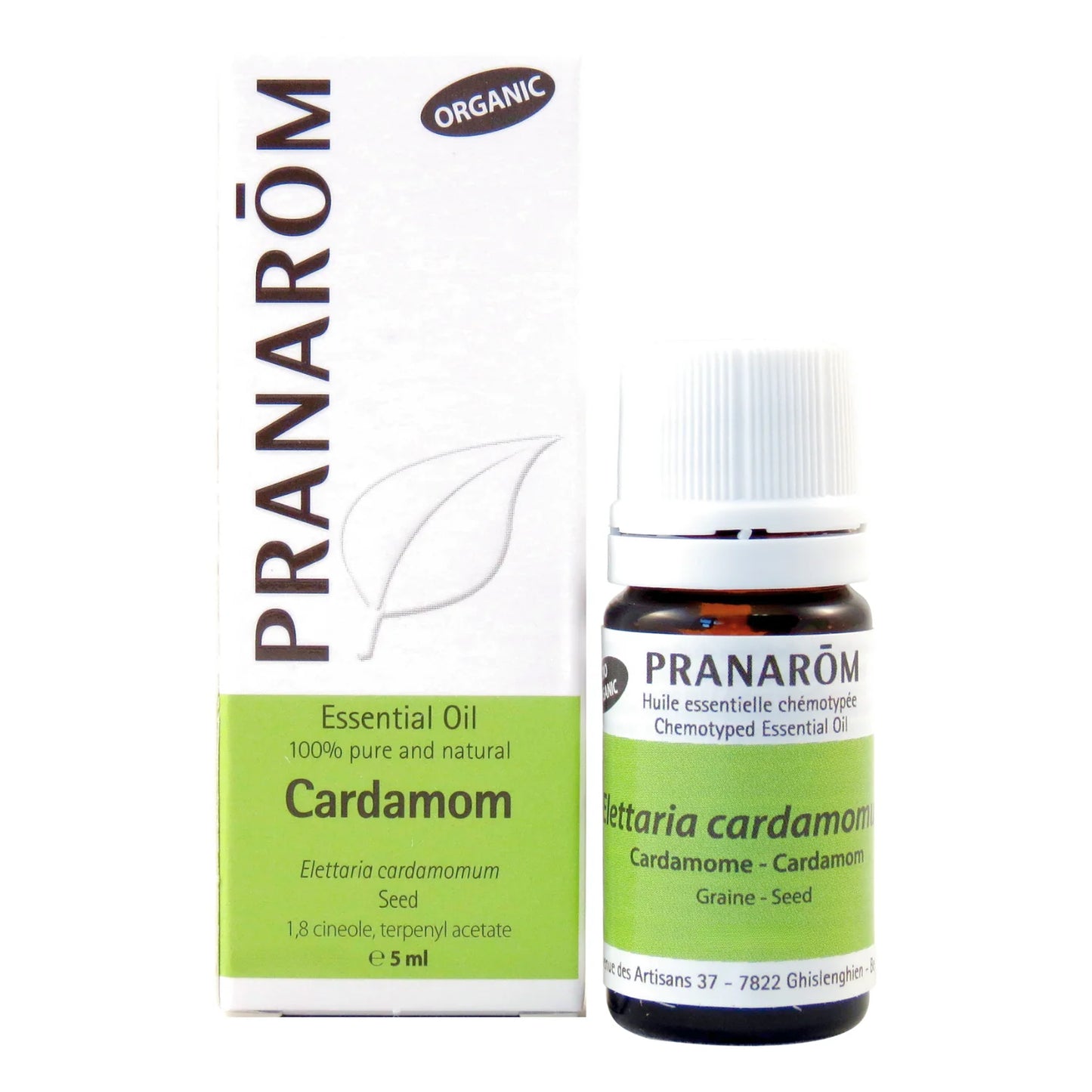 Cardamome - Elettaria Cardamomum