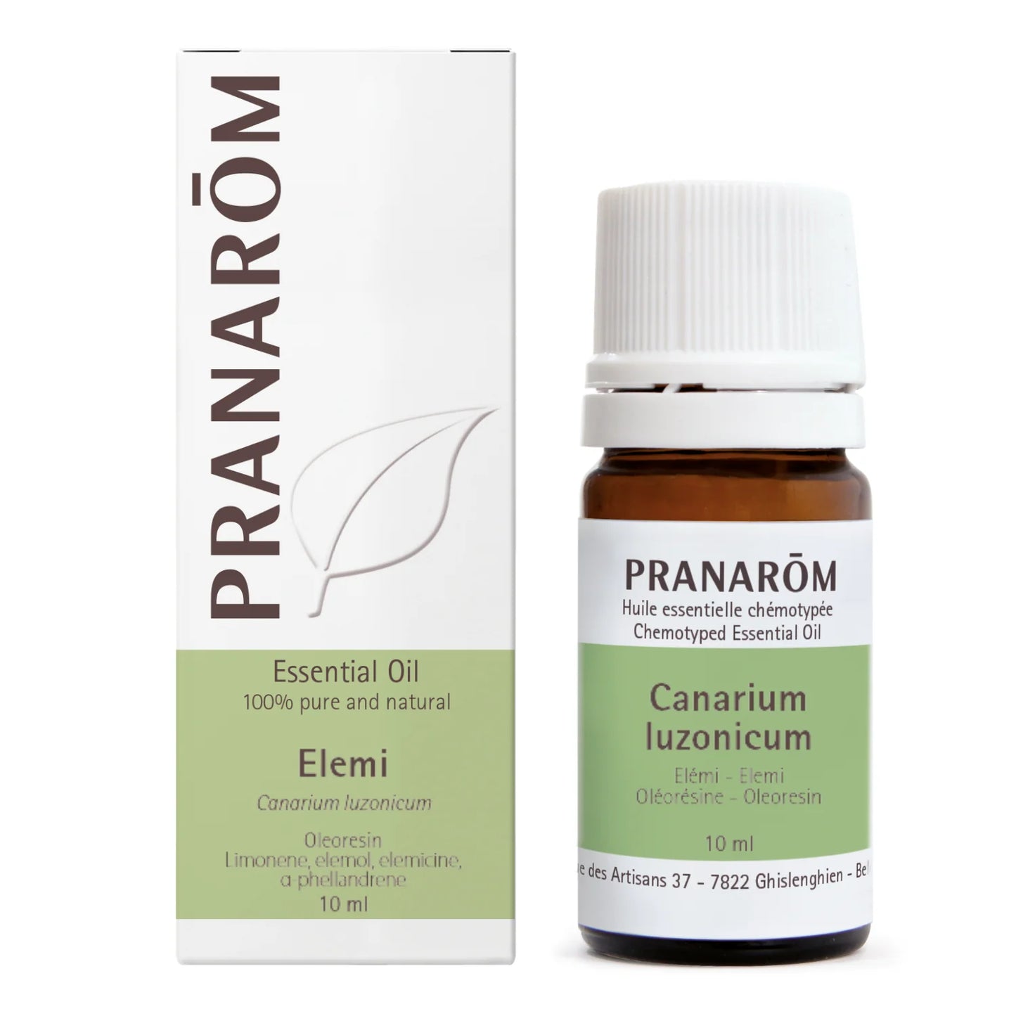 Elemi - Canarium Luzonicum