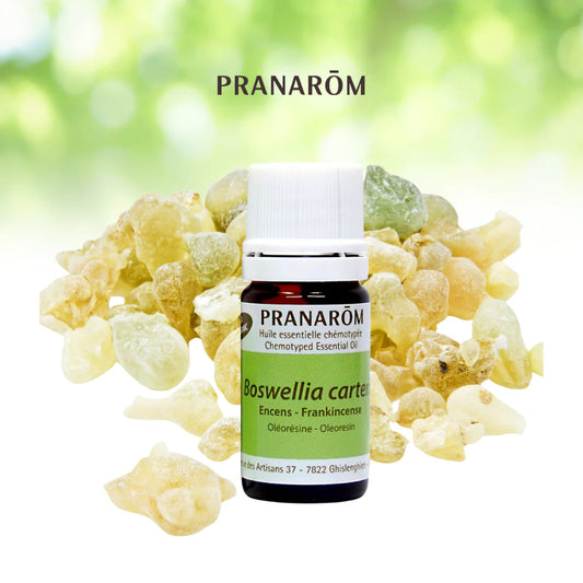 Encens - Boswellia Carterii