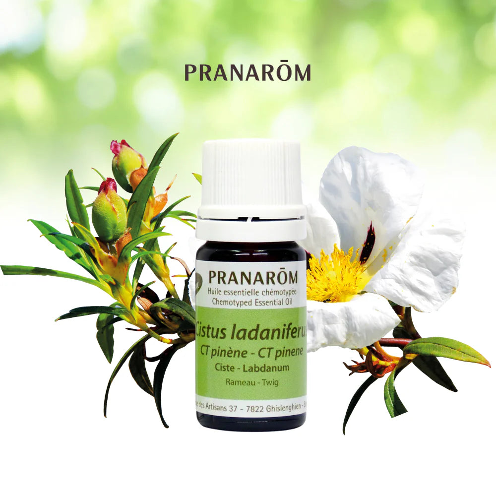 Labdanum - Citrus Ladaniferus CT Pinène