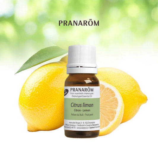 Citron - Citrus Limon