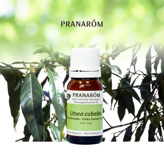 Litsea - Litsea Cubeba/Citrata