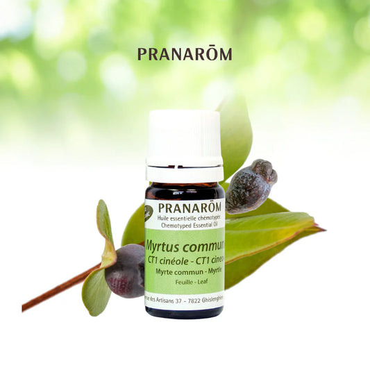 Myrte - Myrtus Communis CT1 Cinéole