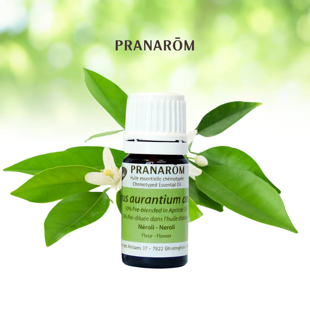 Néroli (10 % pré-mélangé) - Citrus Aurantium SSP Amara