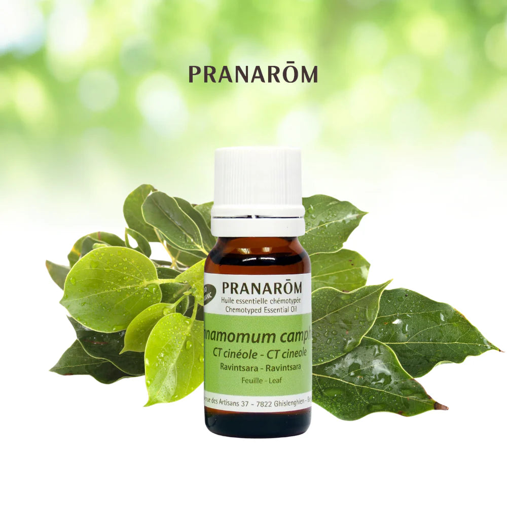 Ravintsara - Cinnamomum Camphora CT Cinéole