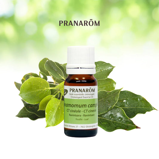 Ravintsara - Cinnamomum Camphora CT Cinéole