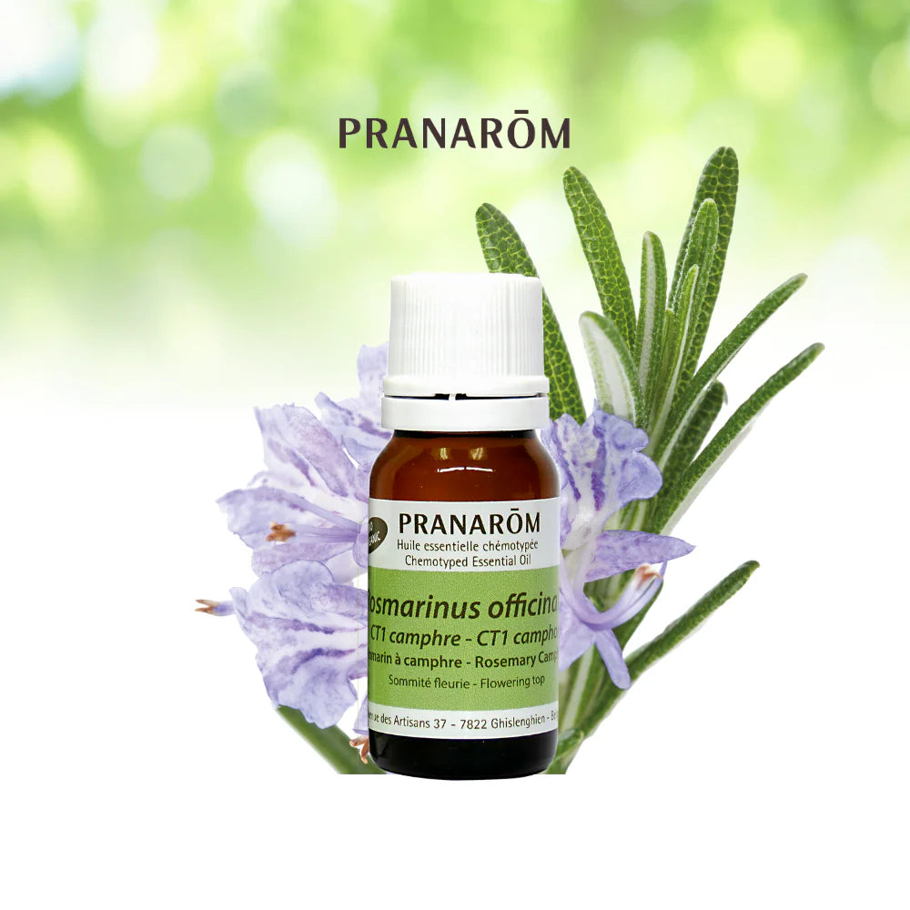 Camphre de romarin - Rosmarinus Officinalis CT1