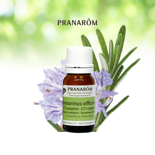 Camphre de romarin - Rosmarinus Officinalis CT1