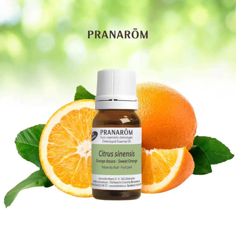 Orange douce -Citrus aurantium dulcis