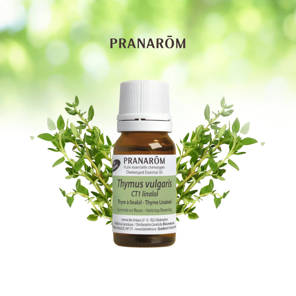 Linalol de thym - Thymus Vulgaris CT Linalol