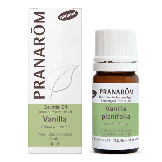 Extrait de vanille CO2 à 20 % prémélangé - Vanille planifolia